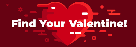 Find Your Perfect Valentine!
