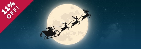 Sparkle and shine upon the Christmas time!