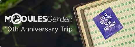 The Power of Team Bonding: ModulesGarden 10th Anniversary Trip