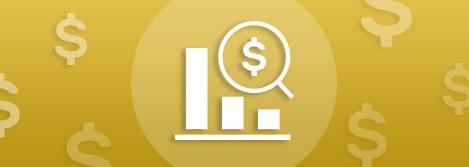 X-ray your spending habits with Expense Tracker For WHMCS!