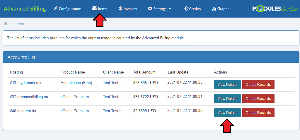 Advanced Billing 3.X For WHMCS: Items page with the Accounts List and the View Details and Delete Records buttons