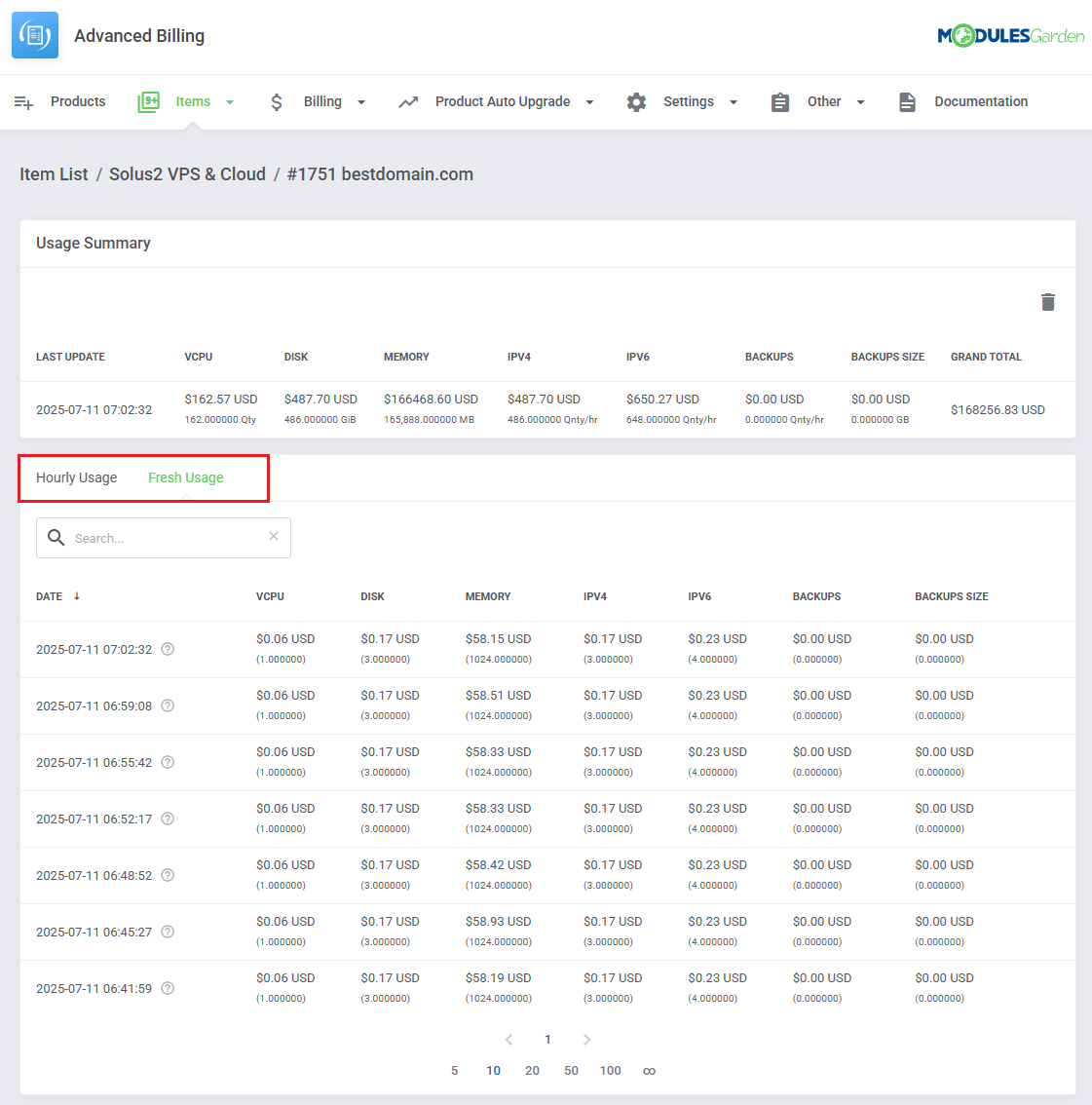 Advanced Billing For WHMCS: item details page with Usage Summary and the Hourly Usage and Fresh Usage tabs