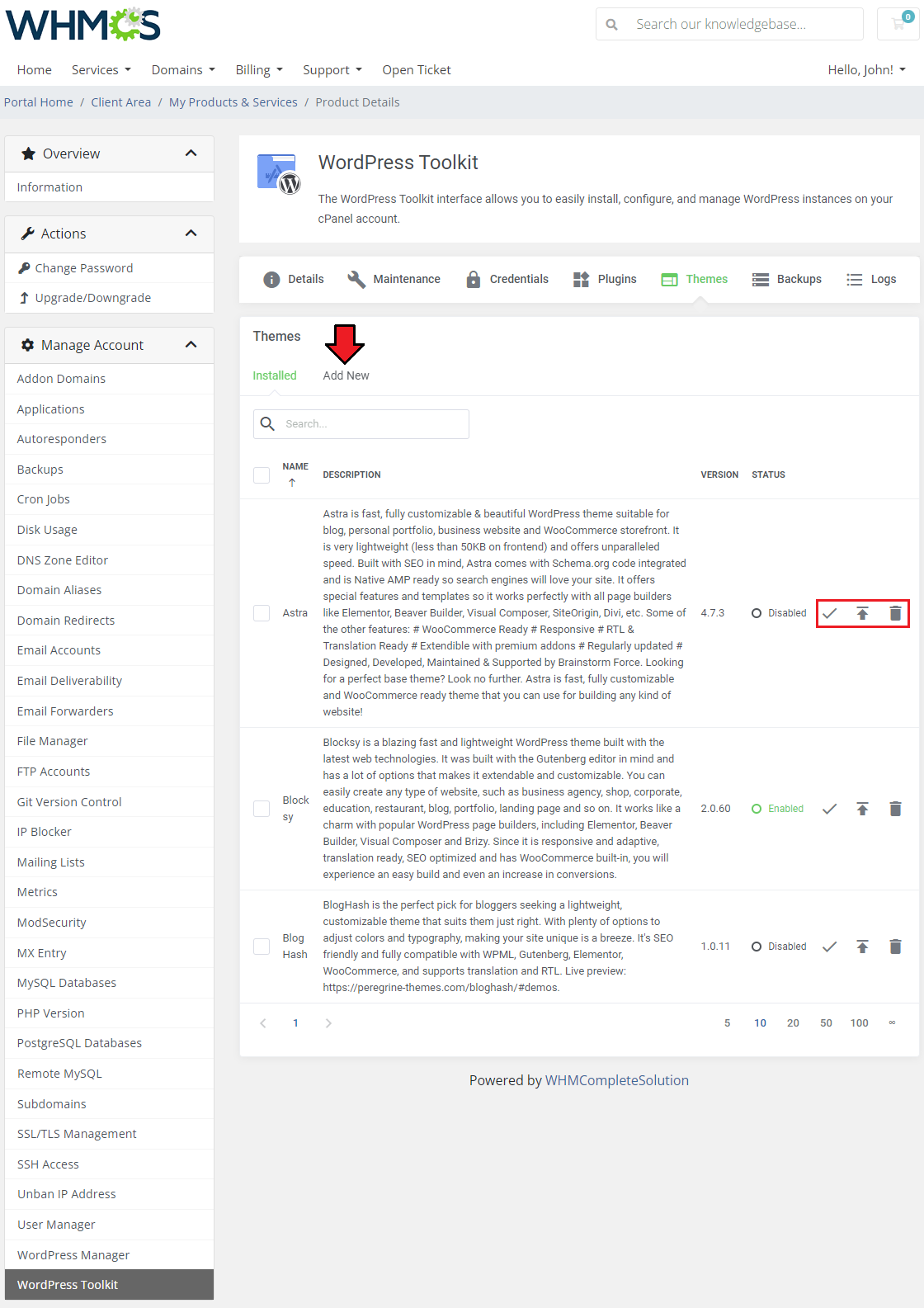 CPanel Extended For WHMCS: WordPress Toolkit Themes tab listing installed themes with an arrow on the Add New link