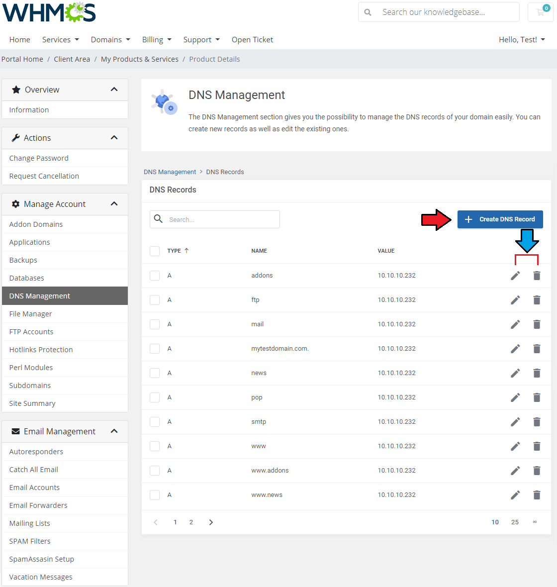DirectAdmin Extended For WHMCS: DNS Records list with the Create DNS Record button and the edit and delete icons marked
