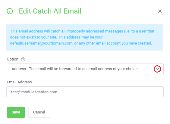DirectAdmin Extended For WHMCS: Edit Catch All Email dialog with the Address option and an email address field