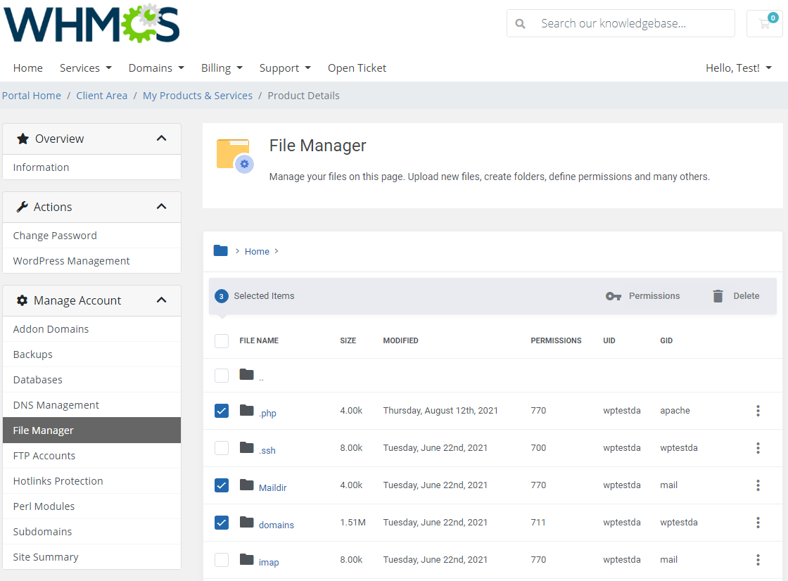 DirectAdmin Extended For WHMCS: File Manager with three items selected and the Permissions and Delete bulk action