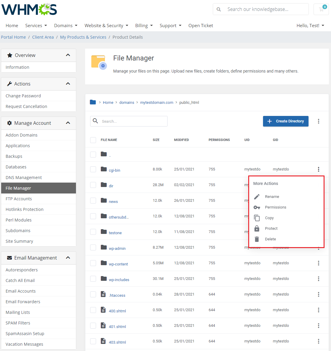 DirectAdmin Extended For WHMCS: File Manager row actions menu with Rename, Permissions, Copy, Protect and Delete options