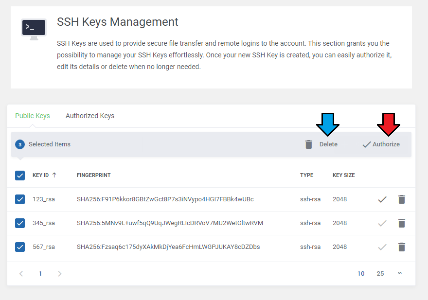 DirectAdmin Extended For WHMCS: Public Keys tab with all SSH keys selected and mass Delete and Authorize buttons