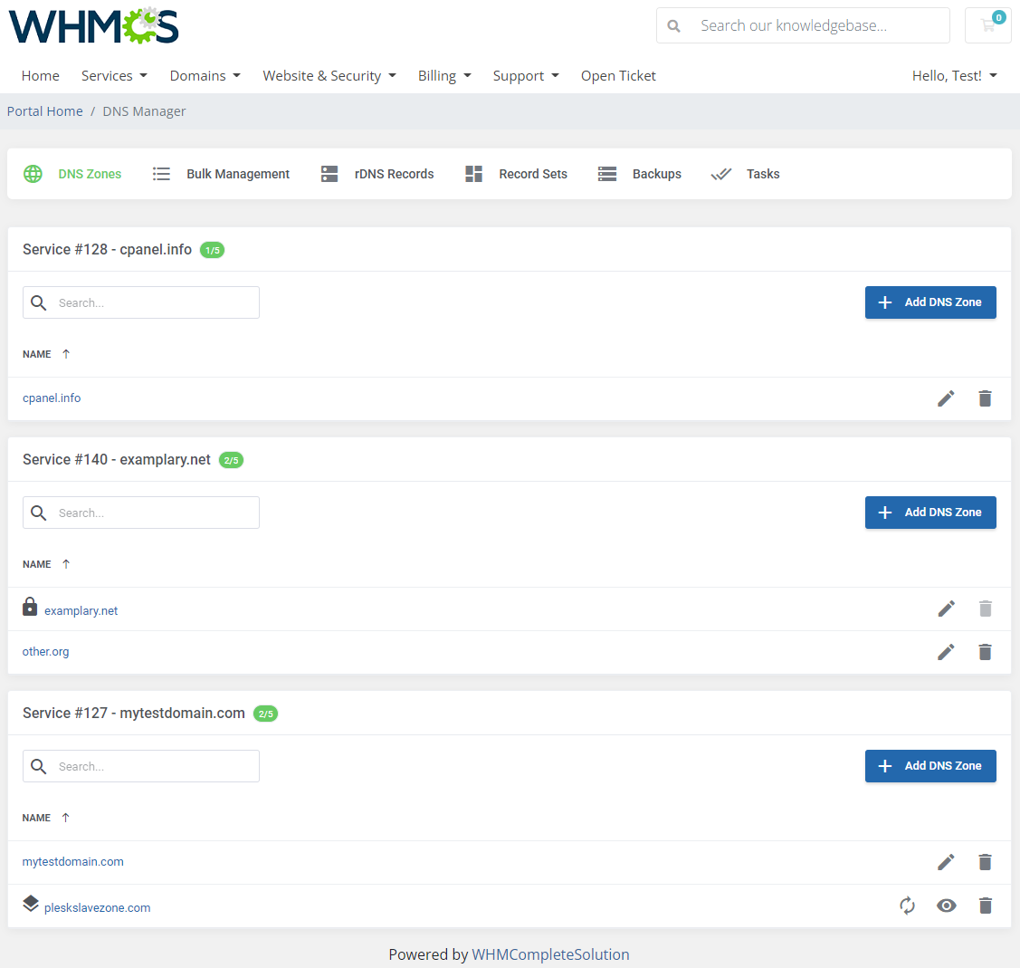 DNS Manager For WHMCS: client area DNS Zones page with zones grouped by service and Add DNS Zone buttons