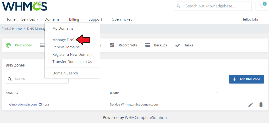 DNS Manager For WHMCS: WHMCS client area Domains menu with the Manage DNS link above the DNS Zones list