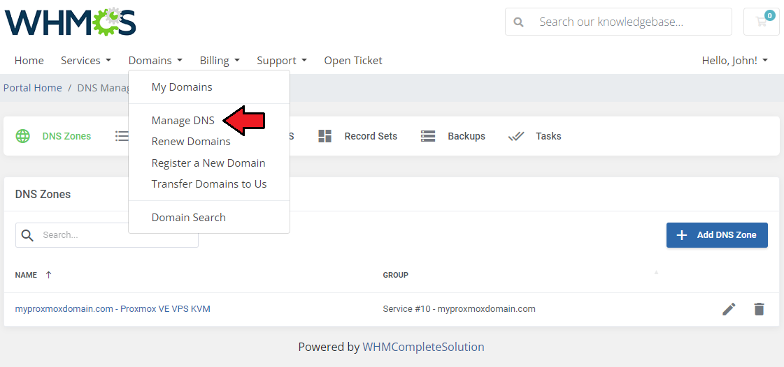 DNS Manager For WHMCS: WHMCS client area Domains menu with Manage DNS link above the DNS Zones list for a Proxmox domain