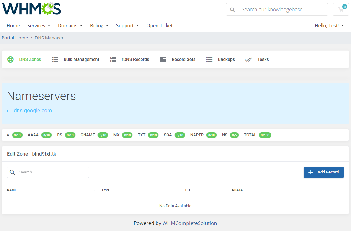 DNS Manager For WHMCS: client area Edit Zone page with a Nameservers box listing submodule nameservers above record