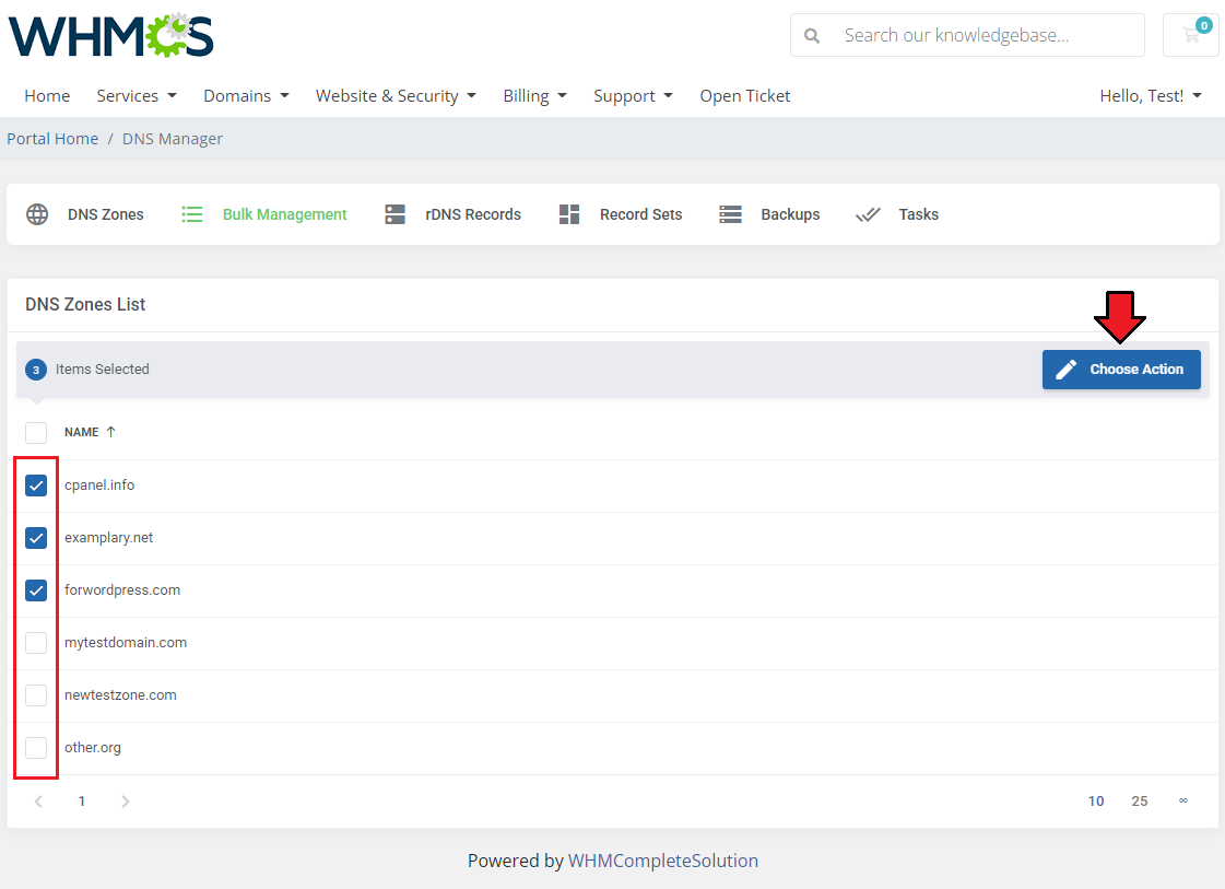 DNS Manager For WHMCS: client area Bulk Management tab with three zones selected and the Choose Action button