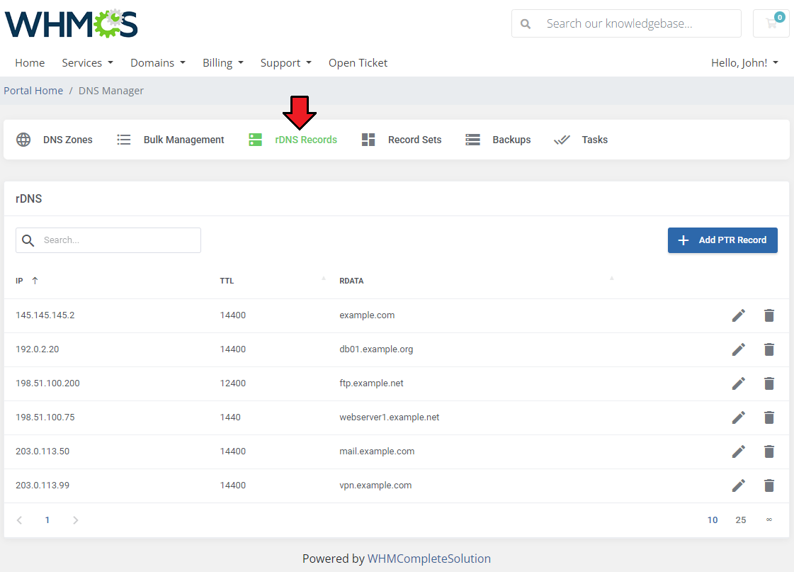DNS Manager For WHMCS: WHMCS client area rDNS Records tab listing PTR records with IP, TTL and RDATA columns