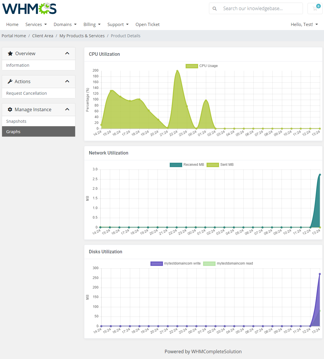 Google Cloud Virtual Machines For WHMCS: client area Graphs with CPU, network and disks utilization charts