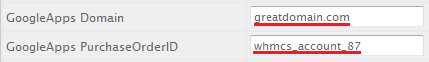 Google Workspace For WHMCS: WHMCS product fields GoogleApps Domain and PurchaseOrderID filled in for an existing