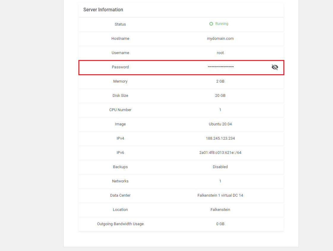 Hetzner Cloud Servers For WHMCS: Server Information table in the client area with the Password row highlighted