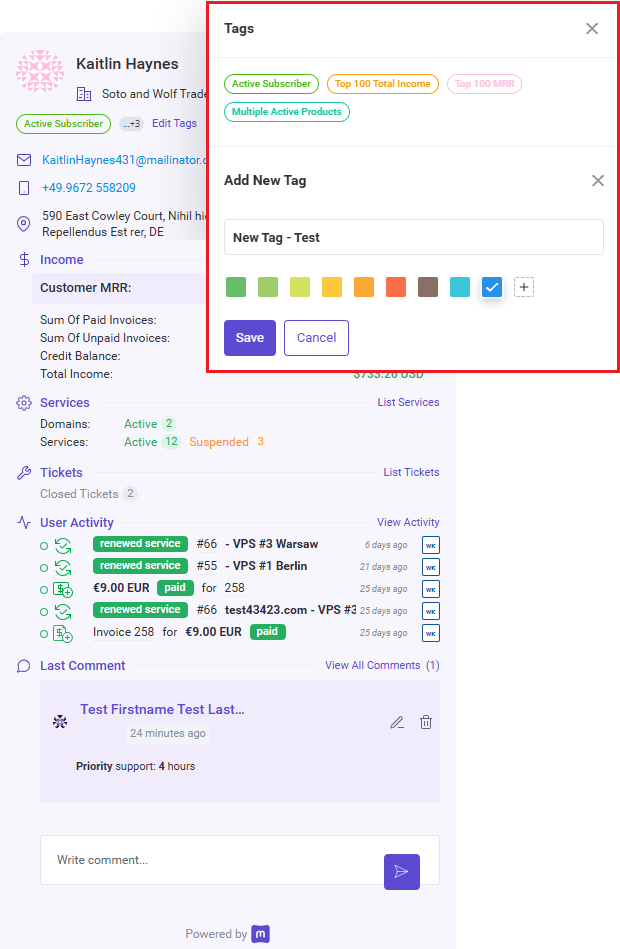 MetricsCube Connector For WHMCS: client popup with the Add New Tag form with name field and color choices