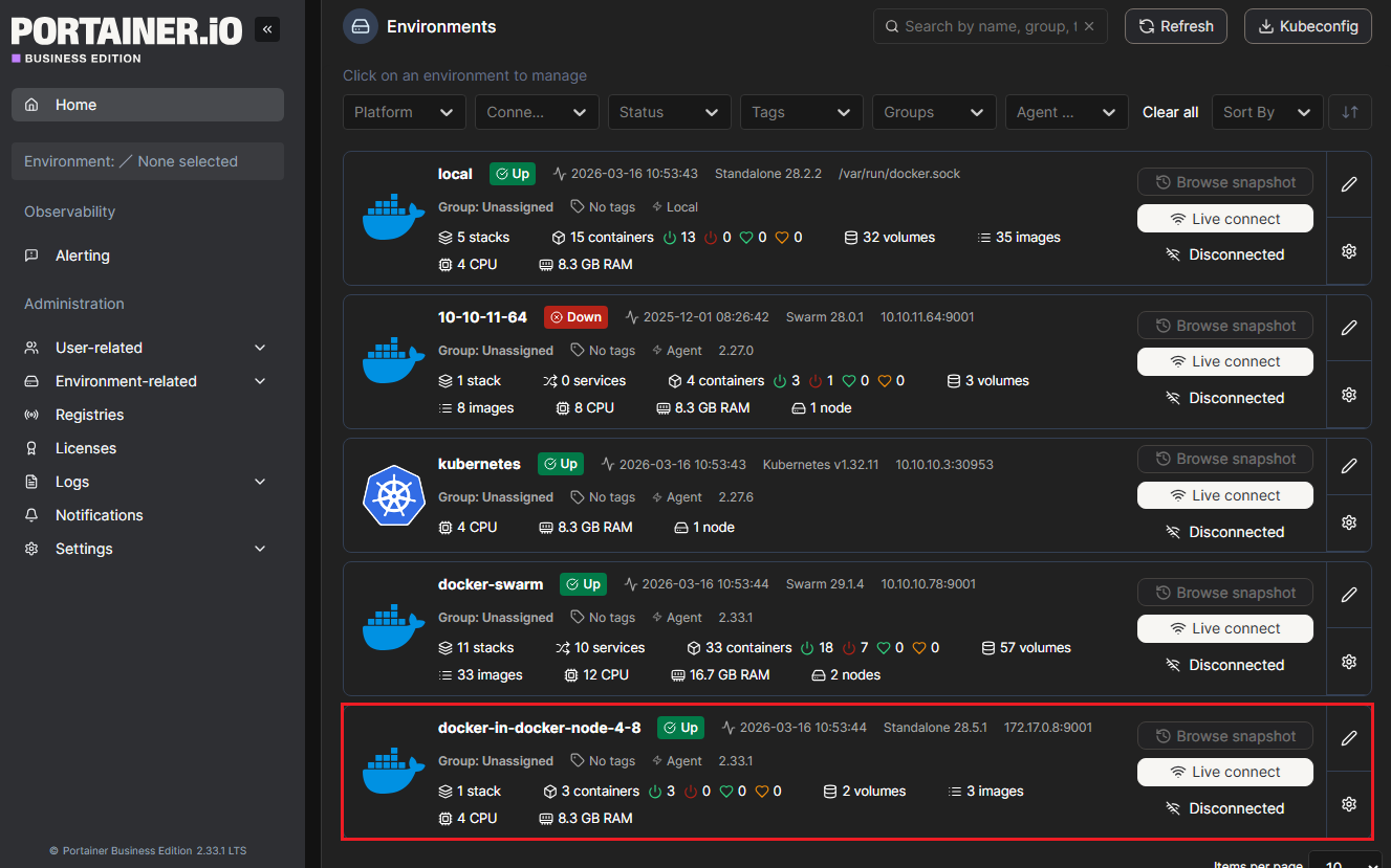Portainer Docker Containers For WHMCS: Portainer Environments list with the docker-in-docker-node-4-8 environment