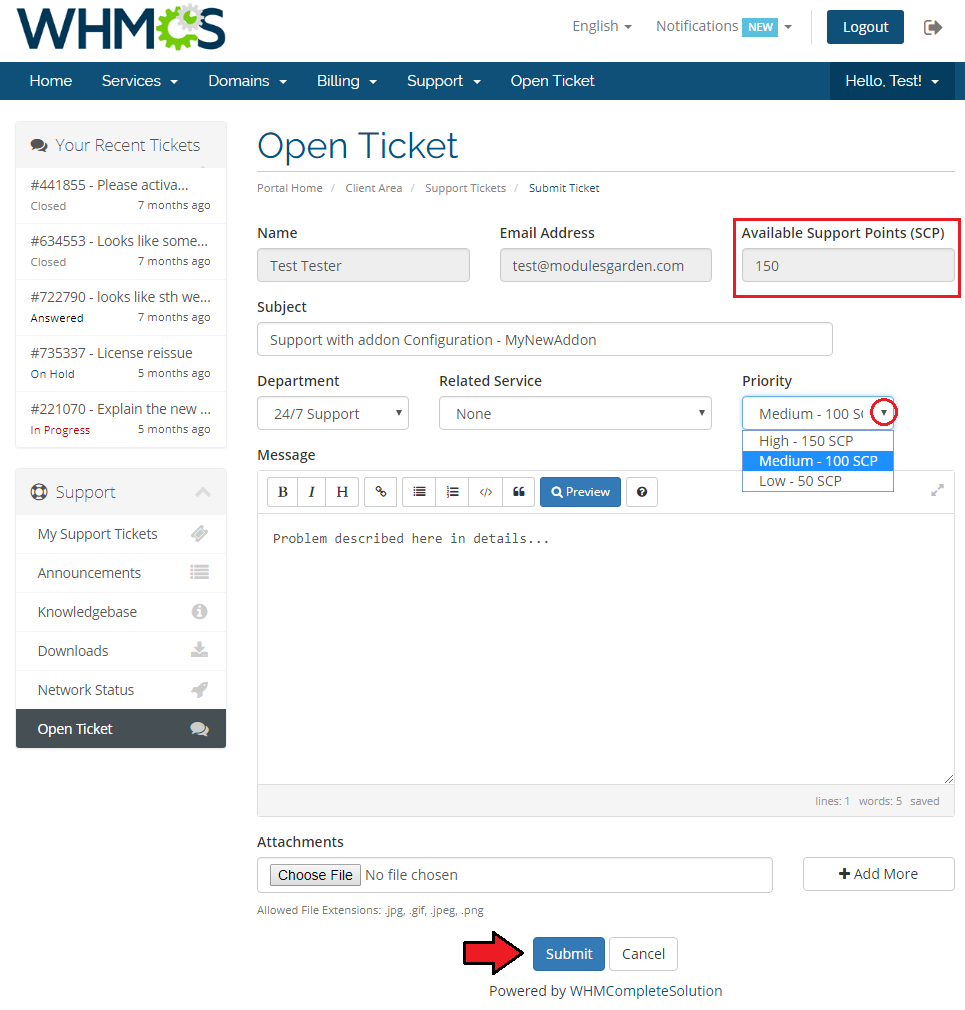 Premium Support Tickets For WHMCS: client area Open Ticket form with available points and priority prices