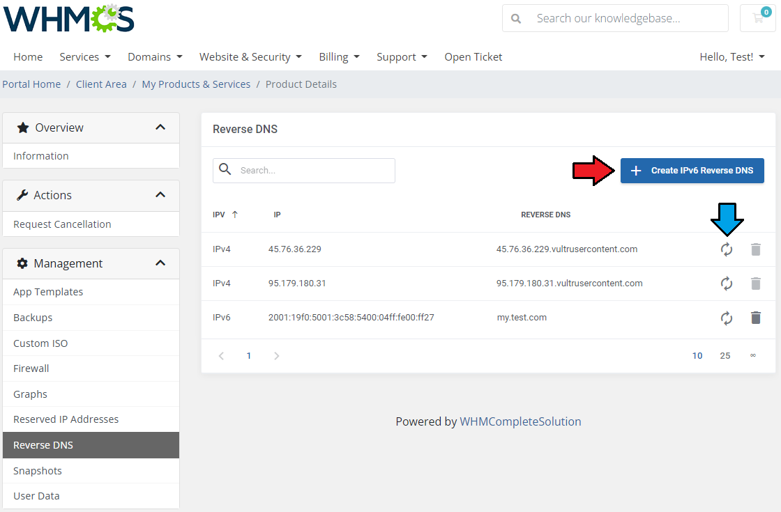 Vultr VPS For WHMCS: Client area Reverse DNS page with the Create IPv6 Reverse DNS button and IPv4 and IPv6 entries
