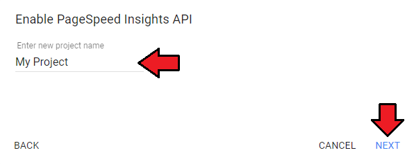 WordPress Manager For WHMCS: Google Enable PageSpeed Insights API dialog with the project name field and Next button