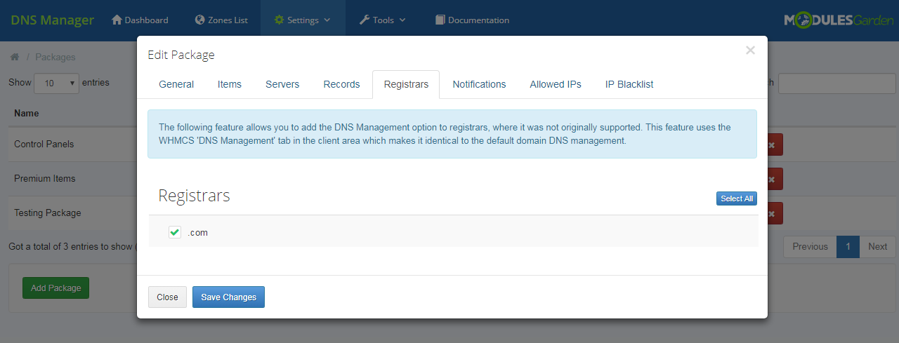 DNS Manager For WHMCS: Module Screenshot 31