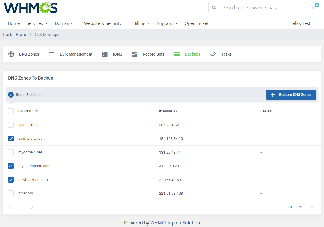 DNS Manager For WHMCS: Module Screenshot 11