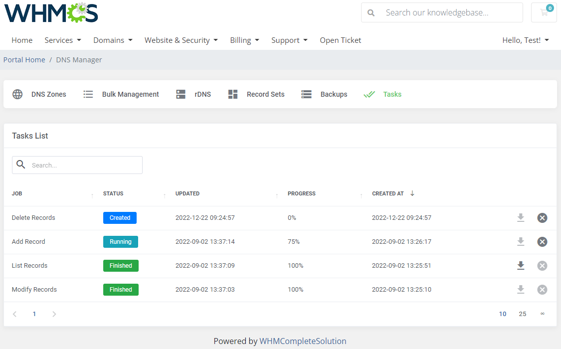 DNS Manager For WHMCS: Module Screenshot 12
