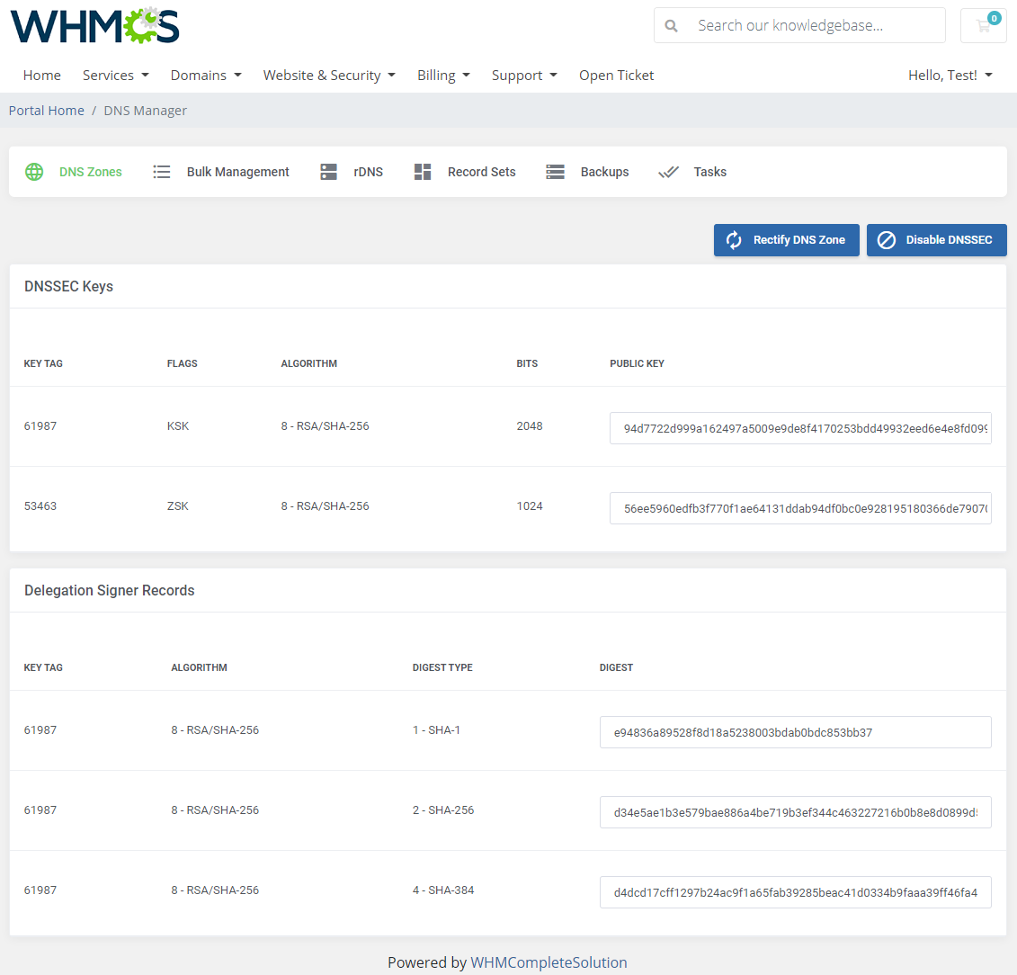 DNS Manager For WHMCS: Module Screenshot 4
