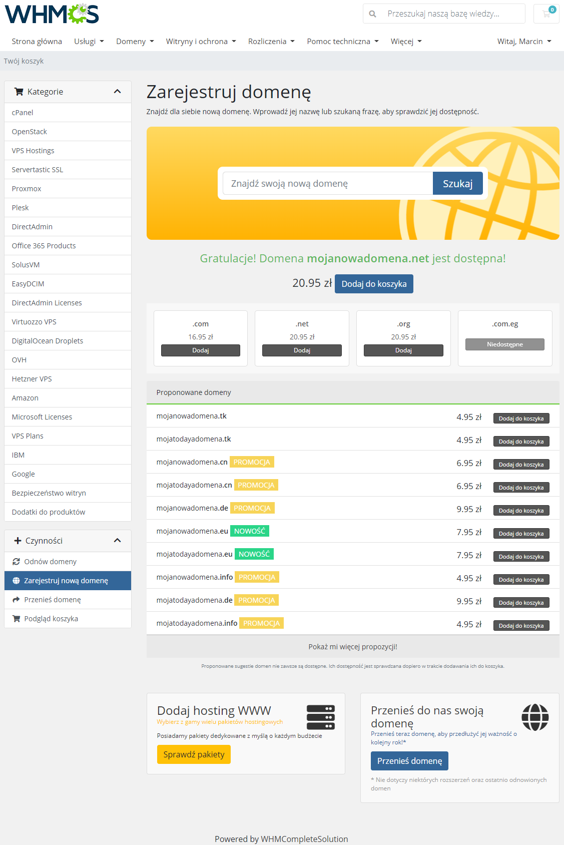 Polish Language Translation For WHMCS: Module Screenshot 8